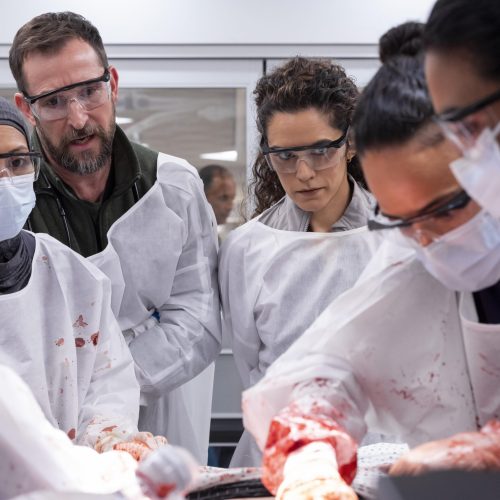 HBO Ocak Ayında Yine Dopdolu